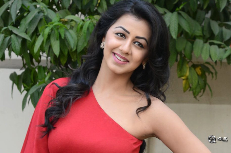 Nikki-Galrani-at-Malupu-Movie-Success-Meet